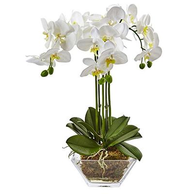 Nearly Natural 4570 Triple Phalaenopsis Orchid in Glass Vase