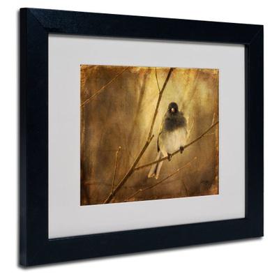 Backlit Birdie Being Buffeted by Lois Bryan Canvas Artwork in Black Frame, 11 by 14-Inch