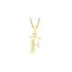 CARISSIMA Gold Women's 9 ct Yellow Gold Cubic Zirconia 6 x 12 mm Initial F Pendant on 9 ct Yellow Gold 0.7 mm Diamond Cut Curb Chain Necklace of Length 46 cm/18 Inch