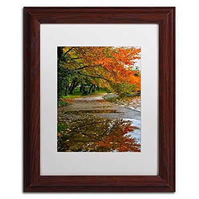 Tidal Basin Autumn 1 White Matte Artwork by CATeyes, 11 by 14-Inch, Wood Frame