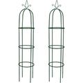 Set Torri ad Arco 2 pz per Piante Rampicanti da Giardino vidaXL 61256