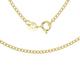 CARISSIMA Gold Unisex 9 ct Yellow Gold 1.7 mm Flat Curb Chain Necklace of Length 41 cm/16 Inch