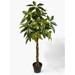 Brayden Studio® Evergreen Tree in Pot Silk/Plastic | 47 H x 24 W x 5 D in | Wayfair B4170B9B72F74BE7A5D2AF489F18D8FB