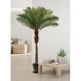 Bayou Breeze Areca Palm Tree in Pot Silk/Plastic | 72 H x 60 W x 14 D in | Wayfair FE6DA965BE724B70A3226CF61ADCFE2F