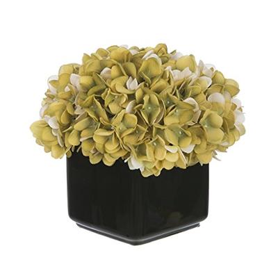 Artificial Hydrangea in Small Black Cube Ceramic Color: Sage/Cream