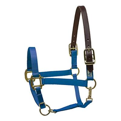 Perri's Premium Nylon Safety Halter, Horse, Royal Blue