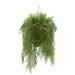 Gracie Oaks Faux Asparagus Fern in Reed Hanging Basket Ivy Plant Plastic | 44 H x 18 W x 18 D in | Wayfair DBA52A93DD7649CA8F3A9C9D04FFB493