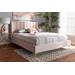 Baxton Studio Saverio Glam & Luxe Light Pink Velvet Fabric Queen Size Platform Bed w/ Gold-Tone Legs - BBT6765-Light Pink-Queen