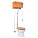 The Renovators Supply Inc. 1.6 GPF Elongated Wall Hung Toilet (Seat Not Included), Stainless Steel | Wayfair 12199