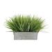 Gracie Oaks Artificial Onion Grass in Planter Wood/Plastic in Gray | 10 H x 15 W x 10 D in | Wayfair 7ACB51C9745444ABB26B0B6444DF4CBF