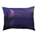 Tucker Murphy Pet™ Burkhardt Moon & Sailboat Cat Bed Outdoor Designer Pillow Fleece | 14 H x 42.5 W x 32.5 D in | Wayfair