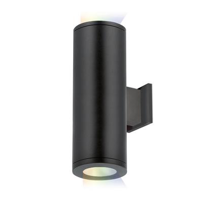 WAC Lighting 12 Inch Tall 2 Light LED Outdoor Wall Light - DS-WD05-FA-CC-BK
