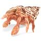 Folkmanis Puppets Hermit Crab 2867 Puppet and Theatre
