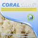 Coralcare Coral Calcium mit Vitamin D3, 1er Pack (1 x 30 Stück)