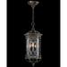 Fine Art Lamps Warwickshire 31 Inch Tall 4 Light Outdoor Hanging Lantern - 610882ST