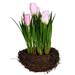 Vickerman 608746 - 9" Pink Tulips in Bird Nest 2/Pk (FO194509) Home Office Flowers in Pots Vases and Bowls