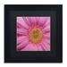 Trademark Fine Art Pink by Kurt Shaffer Framed Photographic Print Canvas | 11 H x 11 W x 0.5 D in | Wayfair KS0158-B1111BMF