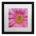 Trademark Fine Art Pink by Kurt Shaffer Framed Photographic Print Canvas | 16 H x 16 W x 0.5 D in | Wayfair KS0158-B1616MF