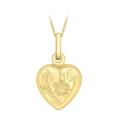 CARISSIMA Gold Women's 9 ct Yellow Gold Small Heart Locket Pendant on Curb Chain Necklace of Length 46 cm