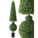 Charlton Home® Artificial American Boxwood Topiary in Pot Plastic | 72 H x 16 W x 15 D in | Wayfair 104763ACFB4D4104A81A842D57A98314