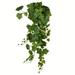 Vickerman 605219 - 39" Green Grape Ivy Hanging Bush (FZ192139) Home Office Picks and Sprays