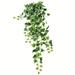 Vickerman 605066 - 34" Varigated Green Ivy Hanging Bush (FZ190234) Home Office Picks and Sprays