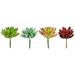 Vickerman 608692 - 4" Green/Gray/Pink/Red Succulnt Ast Set4 (FO191504) Home Office Succulents