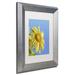 Trademark Fine Art "Facing the Sun III" by Kurt Shaffer Framed Photographic Print Canvas | 14 H x 11 W x 0.5 D in | Wayfair KS01186-S1114MF