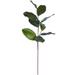 Vickerman 607848 - 30" Green Magnolia Spray Pk/3 (FT190103) Home Office Picks and Sprays