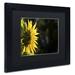 Trademark Fine Art "Facing the Sun" by Kurt Shaffer Framed Photographic Print Canvas | 11 H x 14 W x 0.5 D in | Wayfair KS01187-B1114BMF