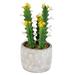 Vickerman 609811 - 12" Green Potted Cactus (FH191712) Home Office Succulents