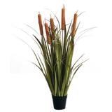 Highland Dunes Nature Inspired Onion Cattails Grass in Planter Plastic | 37 H x 24 W x 24 D in | Wayfair 3DD0647857C543E3B691F8A35542FAE4