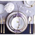 Canvas Home Dauville Porcelain Rim 20 Piece Dinnerware Set, Service for 4 Porcelain/Ceramic in Yellow | Wayfair C34-20PPS