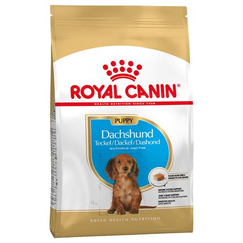 3x1,5 kg Royal Canin Dachshund Puppy hundefutter