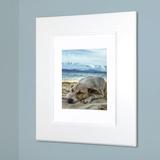 14x18 Fox Hollow Furnishings Recessed Picture Frame Medicine Cabinet in White | 18 H x 14 W x 3.75 D in | Wayfair 101W6-BW