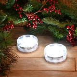 The Holiday Aisle® Submersible Battery Operated White LED Lights w/ Remote Control | 1.75 H x 2.375 D in | Wayfair BDCEFF8C686B435587B9661BD95CB927