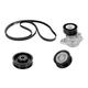 SKF Kit de courroie d'accessoire pour PEUGEOT: 207, 307, 1007, 207+ & CITROËN: C3, C4, C2, C3 Pluriel (Ref: VKMA 33074)