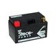 Steco Powersports Batterie moto 12.0 8.6 SLA AGM (Ref: STZ10S)