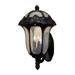 Special Lite Products Rose Garden 3-Light Outdoor Wall Lantern Aluminum/Metal in Black/Gray | 22.75 H x 12.75 W x 14.75 D in | Wayfair