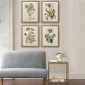 Martha Stewart Herbal Botany 4-piece Botanical Illustration Framed Canvas Wall Art Set Canvas, Linen in Green | Wayfair MT95C-0006