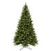 Vickerman 631928 - 5.5' x 44" Artificial Bennington Spruce 450 Clear Lights Christmas Tree (G198356)