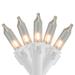 The Holiday Aisle® Chessani 12.5' Outdoor LED 50 - Bulb Mini String Light in White | 12.5 W in | Wayfair 81C7A06C47F247D5B9D98382F0E78516