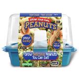 Silver Circle Products Grow Your Own Peanuts Growing Kit | 6 H x 9 W x 4.5 D in | Wayfair 5528119