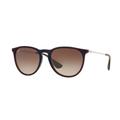 Ray-Ban RB4171 Sunglasses 631513-54 - Trasparent Brown Sp Blue Frame Brown Gradient Dark Brown Lenses