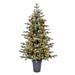 Vickerman 627556 - 5' x 41" Artificial Potted Timberline 250 Clear Lights Christmas Tree (K190751)