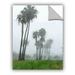 Bay Isle Home™ Mysterious Foggy Morning Removable Wall Decal Vinyl in Gray/Green | 18 H x 24 W in | Wayfair A1A1827883654AE2B00CDC3911BEF4C7