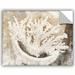 Highland Dunes Sea Treasure I Removable Wall Decal Vinyl in Brown | 14 H x 18 W in | Wayfair 6orl304a1418p