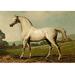 Buyenlarge 'Mambrino' by Samuel Sidney Painting Print in Green | 20 H x 30 W x 1.5 D in | Wayfair 0-587-06547-8C2030