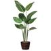 Bay Isle Home™ Bird of Paradise Floor Plant in Basket | 60 H x 24 W x 24 D in | Wayfair 583512C43A864BF695C5D23DEDC49785