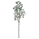 Vickerman 610831 - 22" Gray Green Eucalyptus Branch Pk/3 (FR191144) Home Office Picks and Sprays
